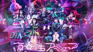 夜行性アミューズ
